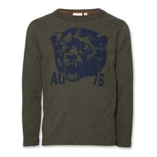 AO76 - TEE SHIRT BEAR