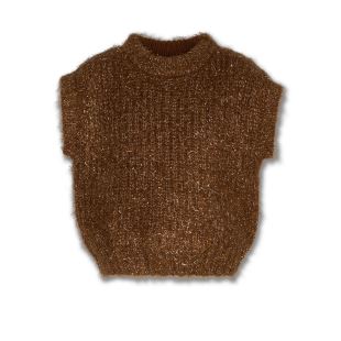 AO76 - PULL SANS MANCHES BROWN