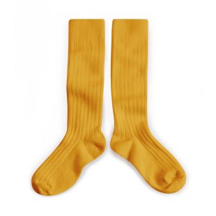 COLLÉGIEN - CHAUSSETTES HAUTES MIEL DORÉ