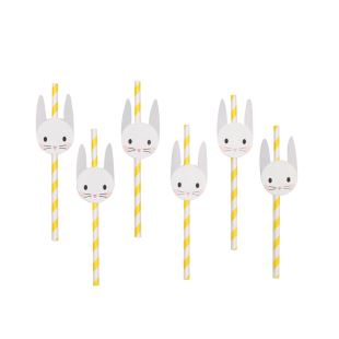 MY LITTLE DAY - PAILLE LAPIN
