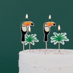 MY LITTLE DAY - BOUGIE TOUCAN