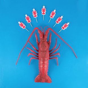 MY LITTLE DAY - BOUGIE HOMARD
