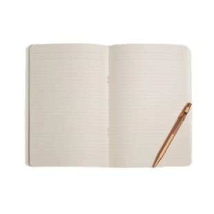 SEASON PAPER - CARNET COQUILLAGES PERVENCHE