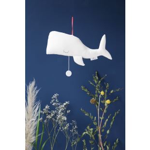 SCALAË - COLETTE LA BALEINE MUSICALE