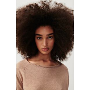 Image article