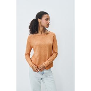 Image article