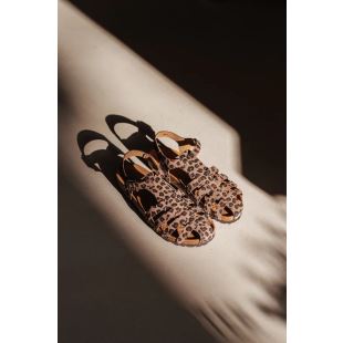 Image article