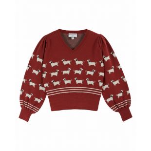 EMILE & IDA - LIGNE FEMME - PULL CHIEN | BRIQUE