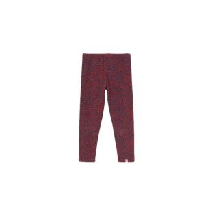 COZMO - LEGGING ANIMAL
