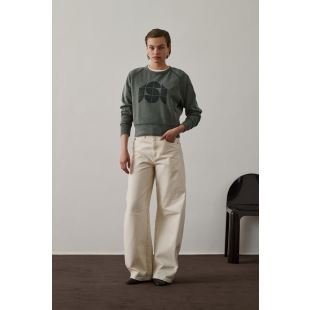 Image article