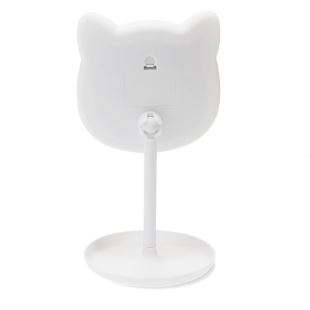REX - MIROIR | CHAT