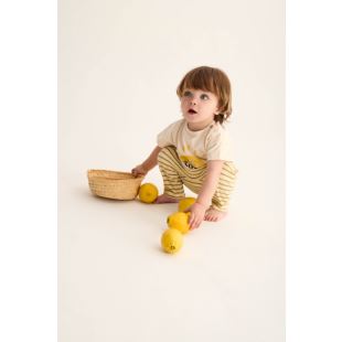 COZMO - JOGGER JASPER | SAND