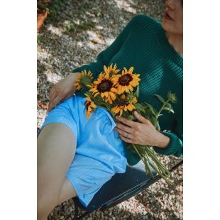 POUDRE ORGANIC - PULL PISSENLIT | HERBE VERTE