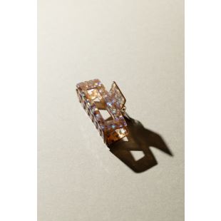 SASSTIE - PINCE CRUSH | DISCO