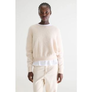 BELLEROSE - PULL DATUS | PARCHEMIN