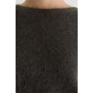 BELLEROSE - PULL DATUS | PIRATE