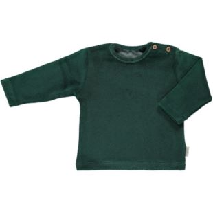 POUDRE ORGANIC - SWEAT ÉPONGE ÉSTRAGON BISTRO GREEN