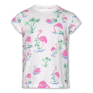 AO76 - TEE SHIRT FLAMINGOS
