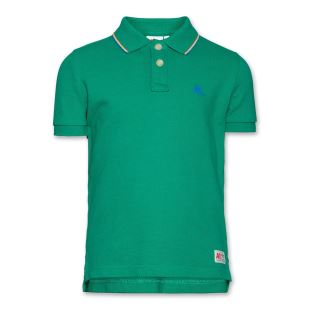 AO76 - POLO AO76 VERT