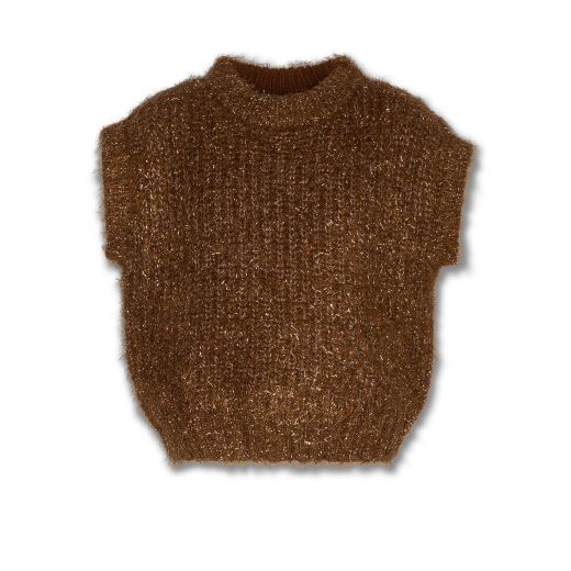 PULL SANS MANCHES BROWN
