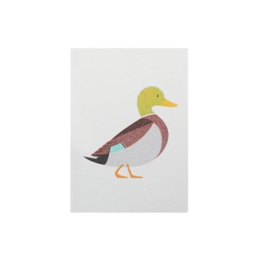 MINI CARTE | CANARD