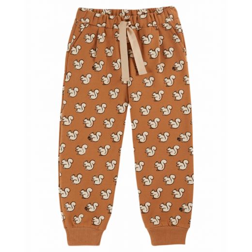 JOGGER ECUREUIL