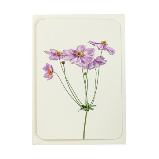 CARTE ANEMONE
