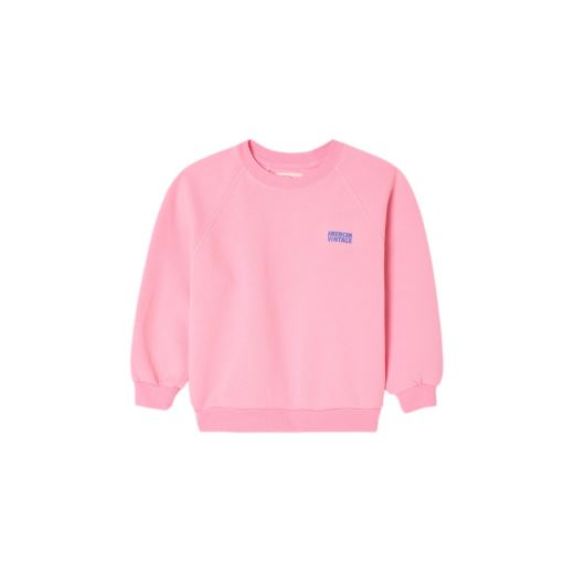 SWEAT ENFANT IZUBIRD | BARBE A PAPA